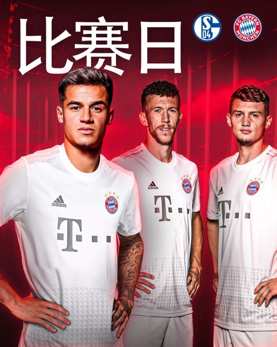 鱼与熊